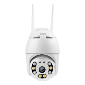 Redleaf IP camera Cam 1000
