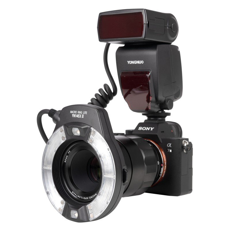 Yongnuo YN14EX II ring light for Sony - Image 2